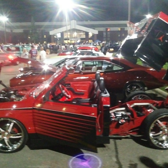 Meet your Posher, Calvin - Picture 1 of 1